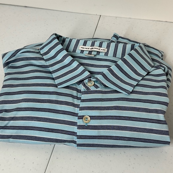 Peter Millar Men’s Large 100% cotton quality golf polo, gently used. Blue stripe - Picture 2 of 11